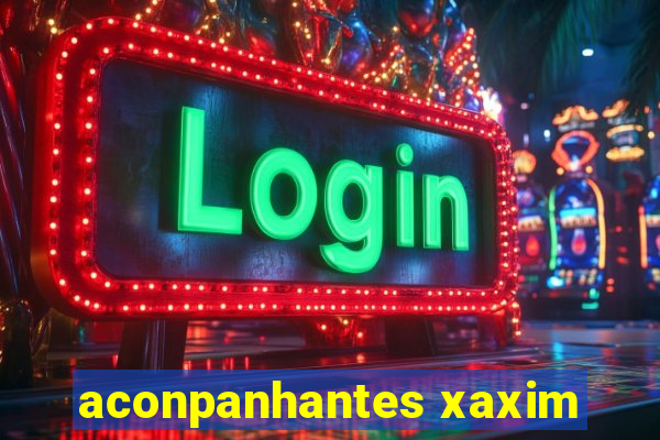 aconpanhantes xaxim